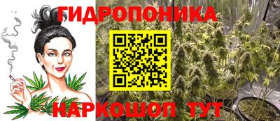 эйфоретик Жуковский